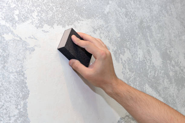 Best Forensic Mold Investigation  in Baxley, GA