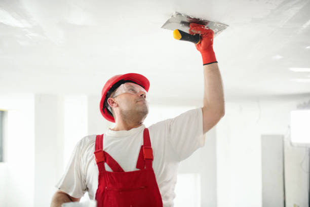 Best Comprehensive Air Testing for Mold Contaminants  in Baxley, GA
