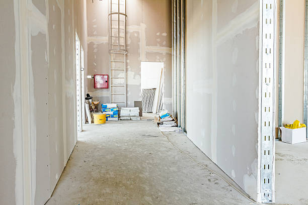 Best Industrial Mold Remediation  in Baxley, GA